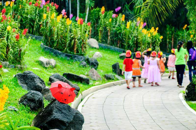 Lan Mokara 5 Đảo lan rừng Đầm Sen