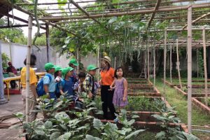Học sinh trải nghiệm phương pháp trồng rau sạch tại CVVH Đầm Sen