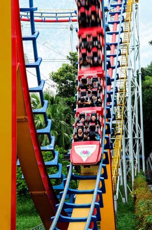 Home 9 Roller Coaster
