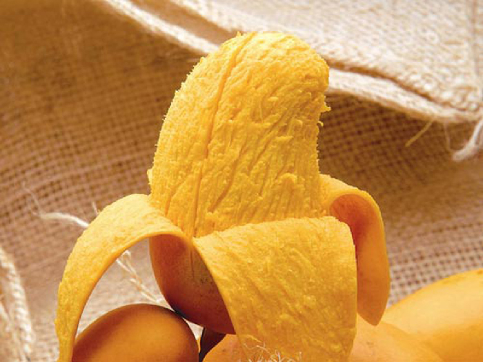 Cây Xoài 10 Xoài Thanh ca