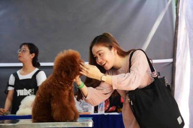 Bạn Bùi Trần Ngọc Thảo (sinh viên, ngụ Q.Thủ Đức, TP.HCM) hào hứng bên một chú chó với bộ lông dài bít mắt chuẩn bị được "làm đẹp". "Mình mê chó cưng lắm, nhưng vì ở kí túc xá không thể nuôi. Nghe có lễ hội này nên hôm nay mình chạy từ tít làng đại học sang để tham gia cho bằng được", Thảo chia sẻ (ảnh: HOÀI NHÂN) lễ hội cún cưng Đầm Sen