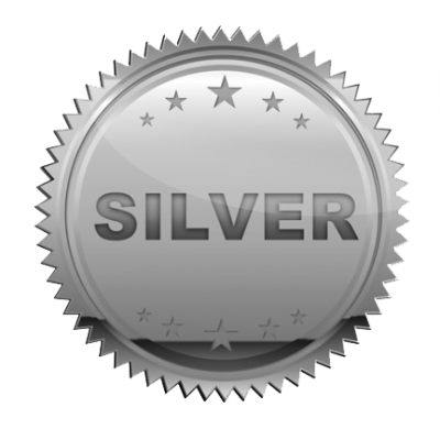 silver_PNG17190 silver_PNG17190